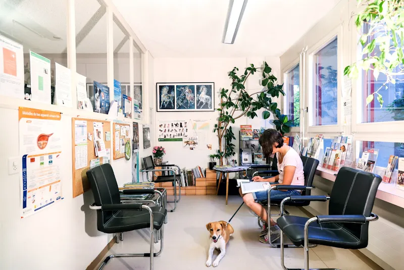 Cabinet vétérinaire Gauderon - Comment Sàrl — Tierarzt, Villars-sur-Glâne, Freiburg. Foto 2