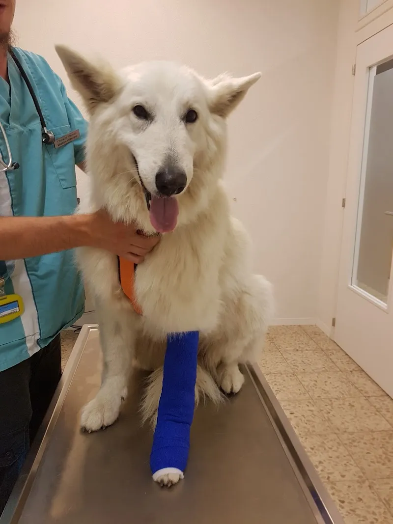 Cabinet vétérinaire des 3 Sapins — Tierarzt in Vaulruz, Freiburg. Bewertung 4.6/5.