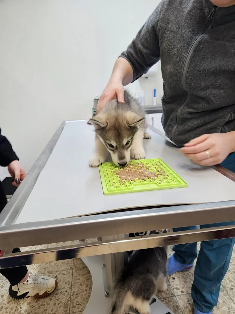 Cabinet vétérinaire des 3 Sapins — Tierarzt, Vaulruz, Freiburg. Foto 3