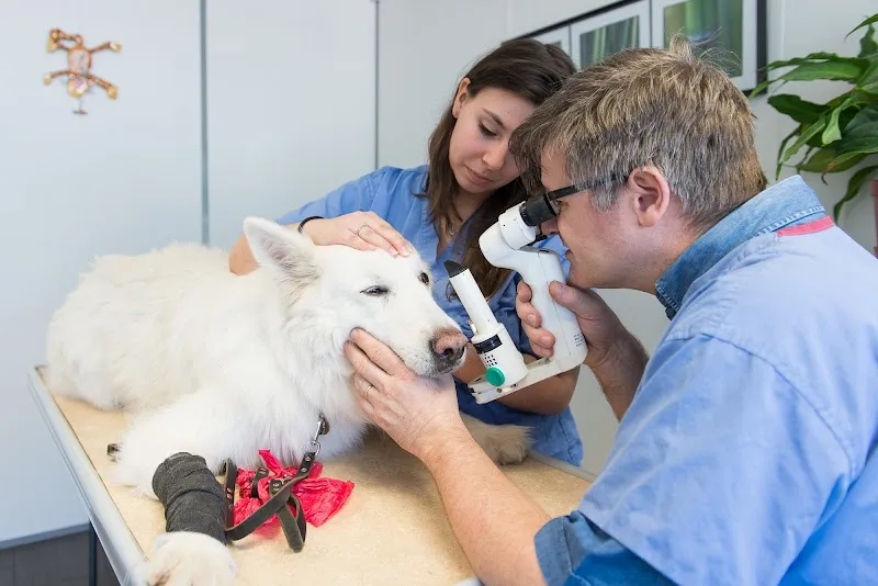 Cabinet vétérinaire du Dr. Armbrust — Tierarzt in Marin-Epagnier, Neuenburg. Bewertung 4.7/5.