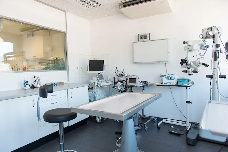 Cabinet vétérinaire du Dr. Armbrust — Veterinarian, Marin-Epagnier, Neuchatel. Foto 2