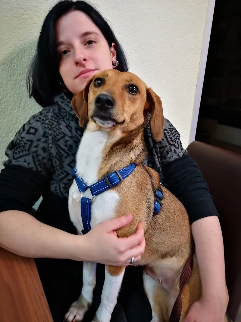 Centre Vétérinaire Agy — Tierarzt, Granges-Paccot, Freiburg. Foto 3