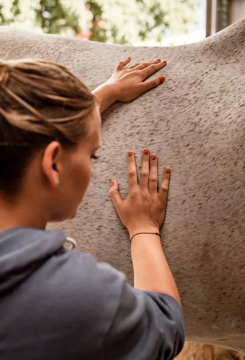 Cynthia Emonet Ostéopathie Animale — Tierdienste in La Roche, Freiburg. Bewertung 5.0/5.