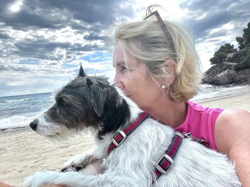 Hamburger Dirk — Tierarzt, Fribourg, Freiburg. Foto 2