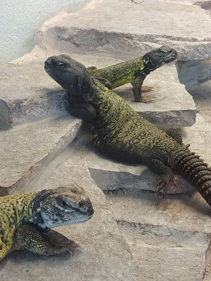 Kleintierpraxis am See — Tierarzt, Morat, Freiburg. Foto 3