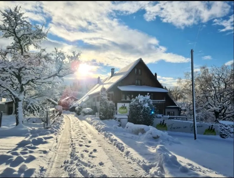 Hundeferienheim XANADU — Katzenpension in Oftringen, Aargau. Bewertung 4.8/5.