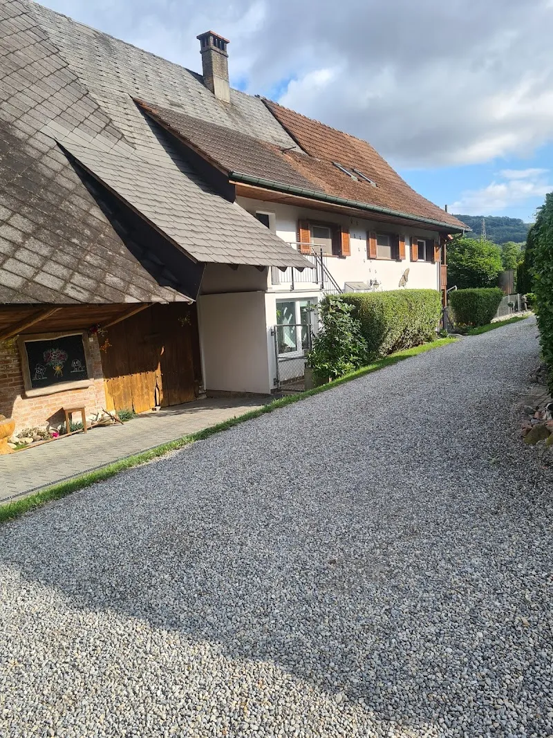 Hundeferienheim XANADU — Pension pour chats, Oftringen, Argovie. Foto 2