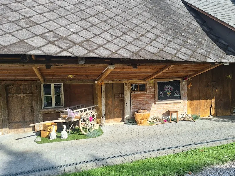 Hundeferienheim XANADU — Pension pour chats, Oftringen, Argovie. Foto 3