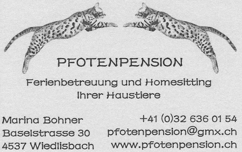 Pfotenpension Marina Bohner — Katzenpension in Wiedlisbach, Bern. Bewertung 5.0/5.