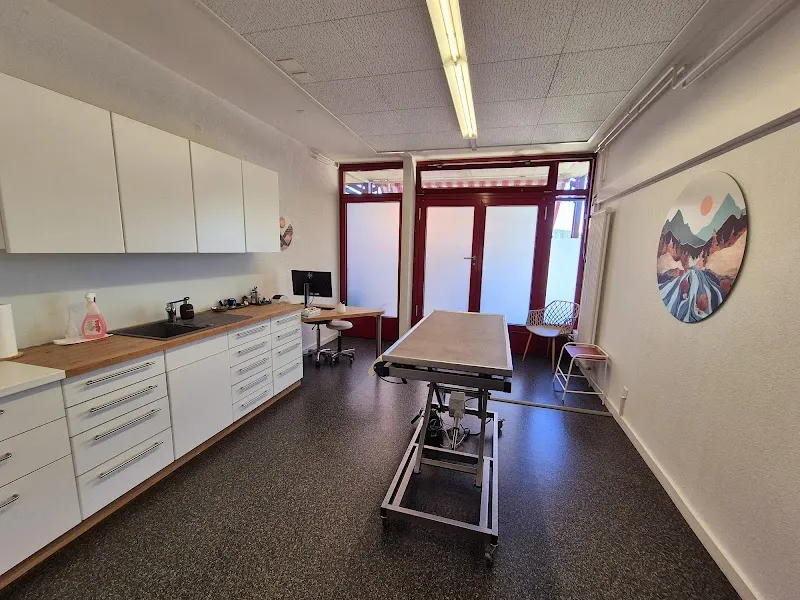 VETAVRY - Cabinet Vétérinaire d'Avry-Bourg — Tierarzt, Matran, Freiburg. Foto 2