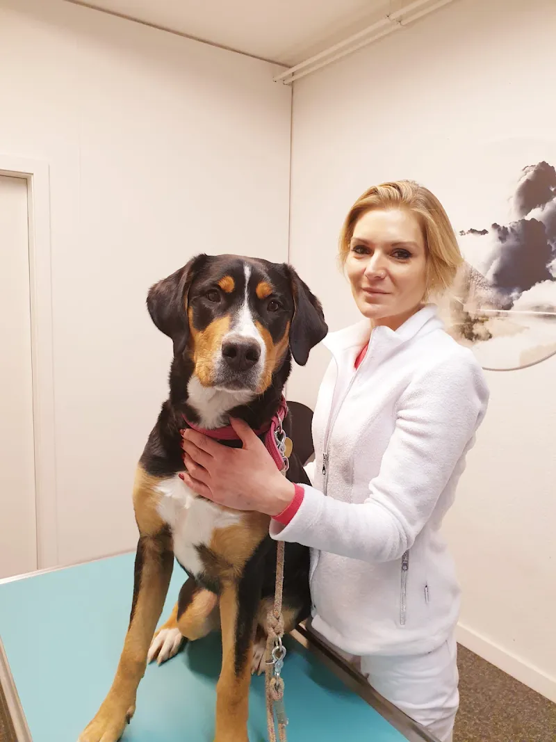 VETAVRY - Cabinet Vétérinaire d'Avry-Bourg — Tierarzt, Matran, Freiburg. Foto 3