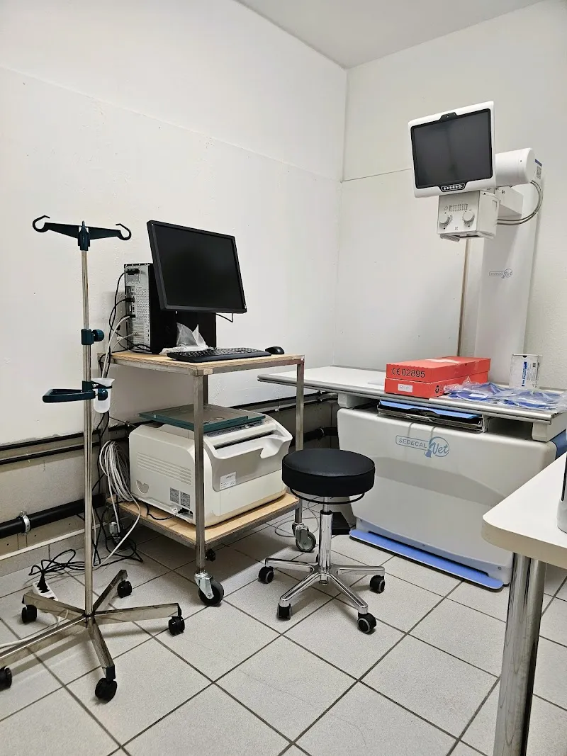 VetDomdidier — Tierarzt in Domdidier, Freiburg. Bewertung 5.0/5.