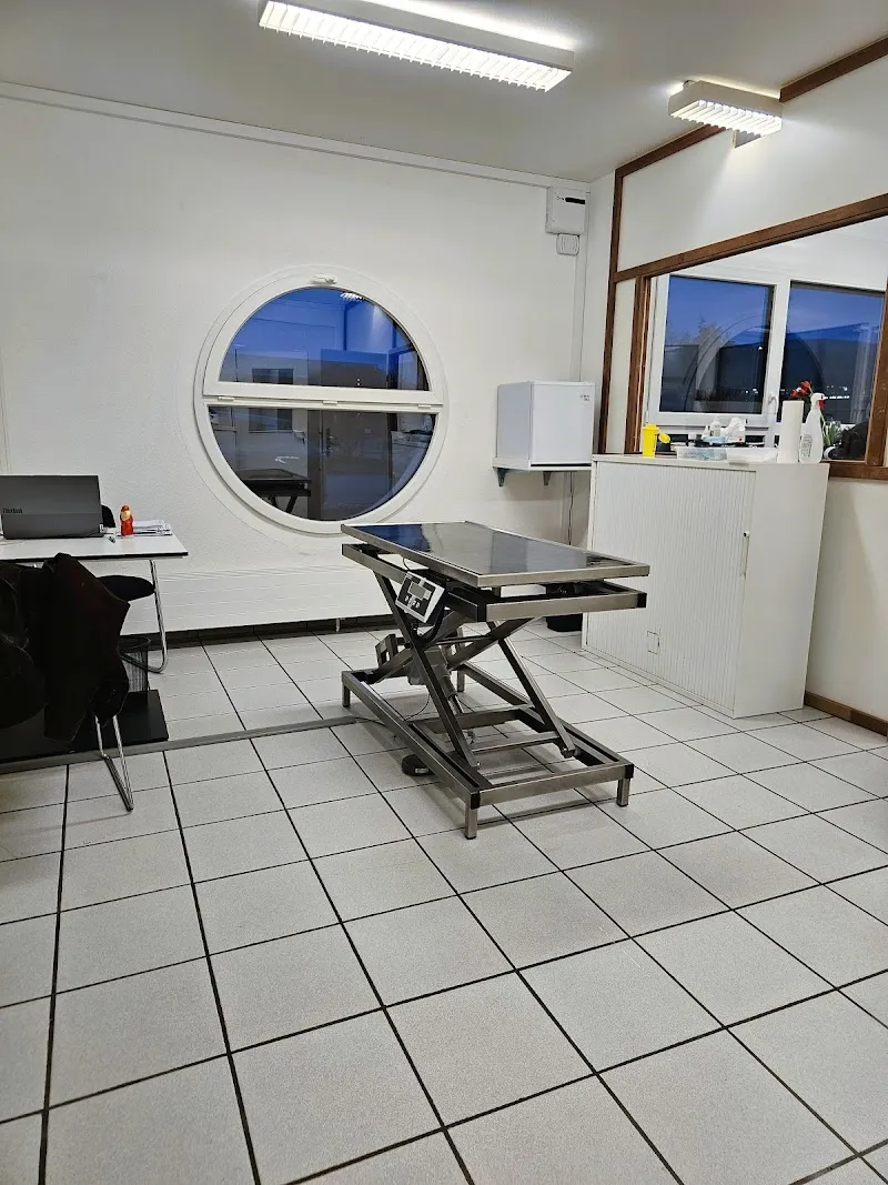 VetDomdidier — Veterinarian, Domdidier, Fribourg. Foto 2