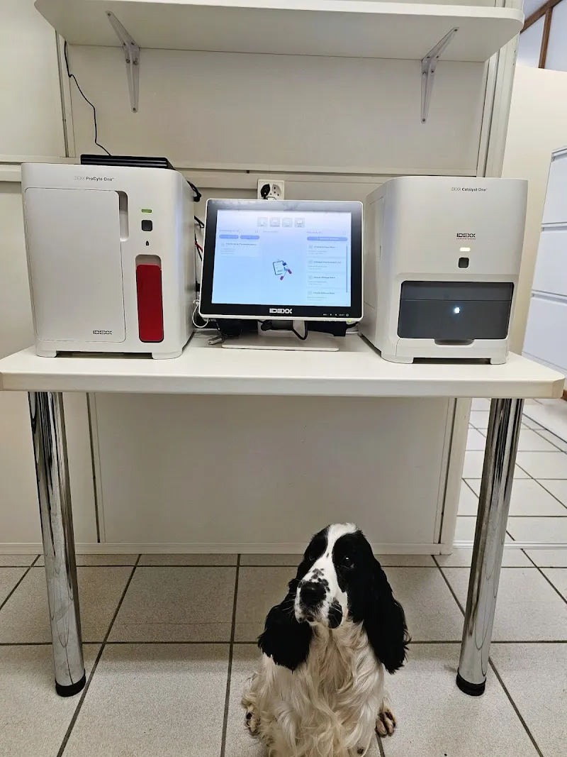 VetDomdidier — Veterinarian, Domdidier, Fribourg. Foto 3