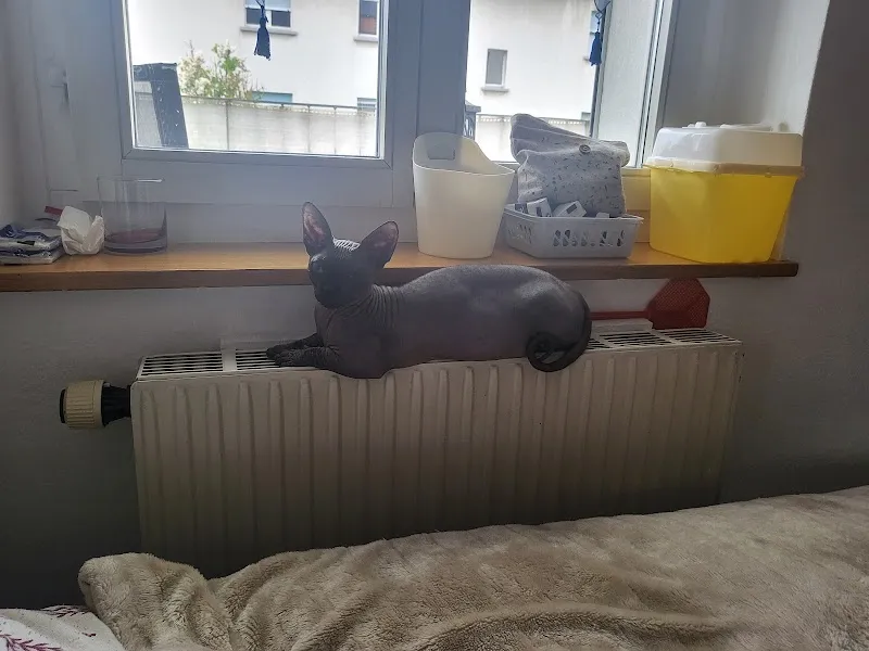 VetoZen SA — Tierarzt in Fribourg, Freiburg. Bewertung 4.5/5.