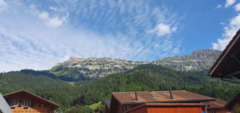 Ragdoll von Kandergarden — Katzenpension in Frutigen, Bern. 