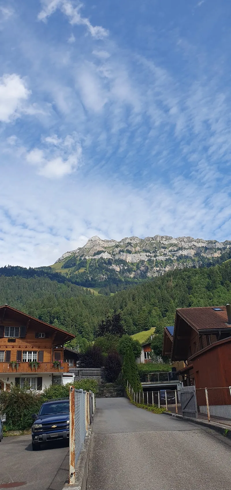 Ragdoll von Kandergarden — Pension pour chats, Frutigen, Berne. Foto 2