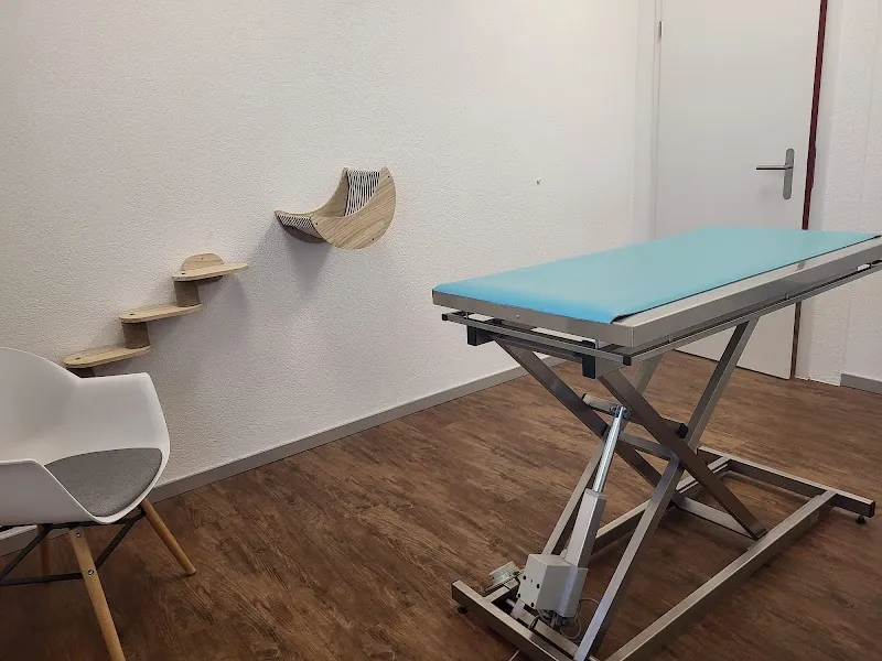 Vétérinaire Ulrich Hadorn — Vétérinaire, Posieux, Fribourg. Foto 3