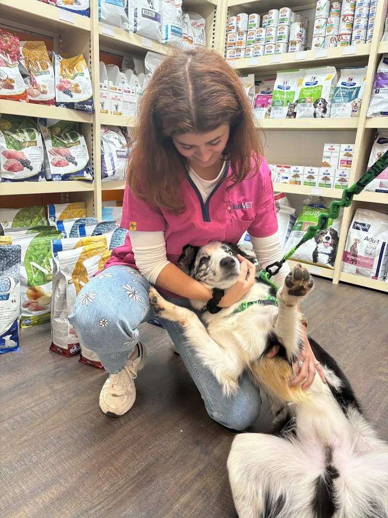 AmaVet Vétérinaire — Veterinarian, Genève, Geneva. Foto 2