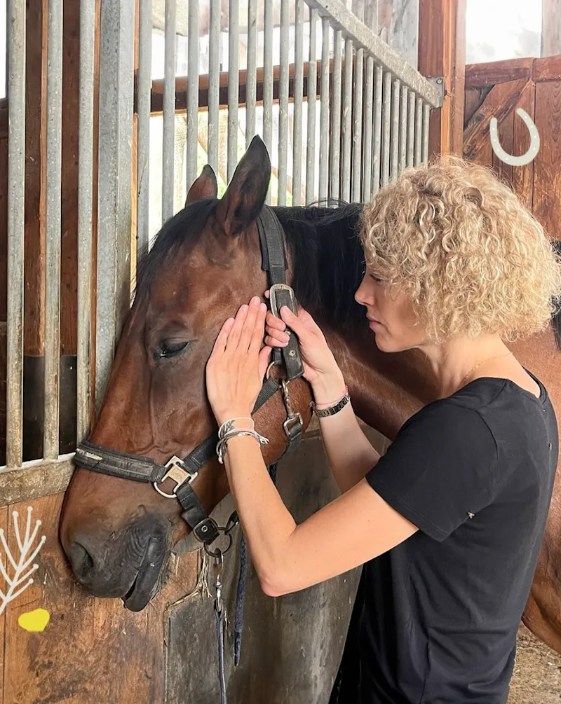 Animal Emotions : Communication animale et massages équins — Tierdienste in Bernex, Genf. Bewertung 5.0/5.