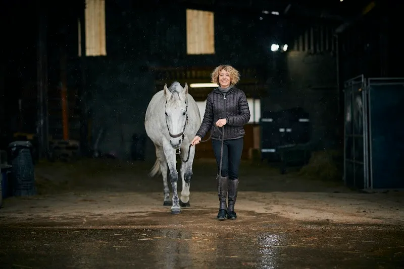 Animal Emotions : Communication animale et massages équins — Service animalier, Bernex, Genève. Foto 3