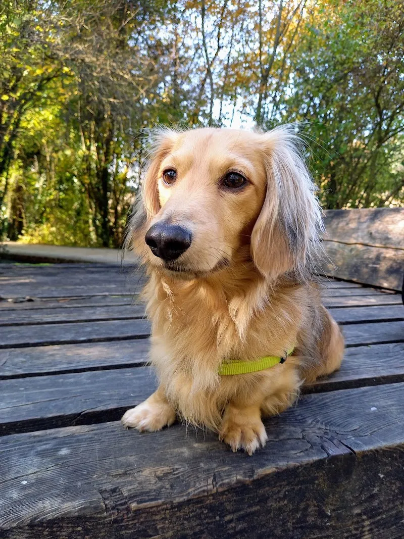Cabinet Vétérinaire Champel — Tierarzt, Genève, Genf. Foto 3