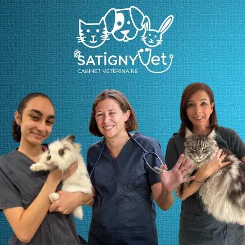 Cabinet Vétérinaire SatignyVet — Tierarzt in Satigny, Genf. Bewertung 4.9/5.