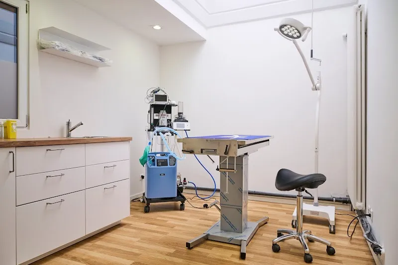 Cabinet Vétérinaire VETOFAMILLE — Tierarzt, Genève, Genf. Foto 3