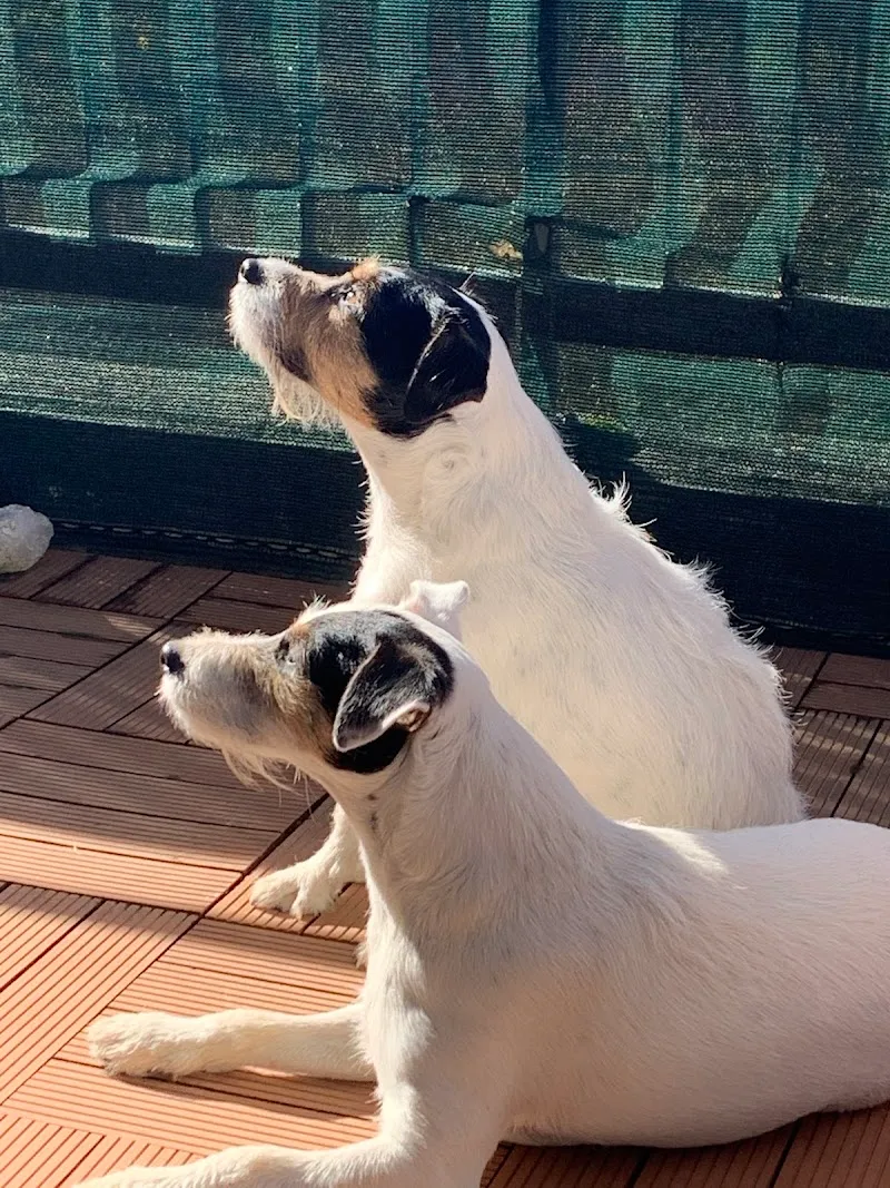 Cabinet Vétérinaire de Bernex — Tierarzt in Bernex, Genf. Bewertung 4.7/5.