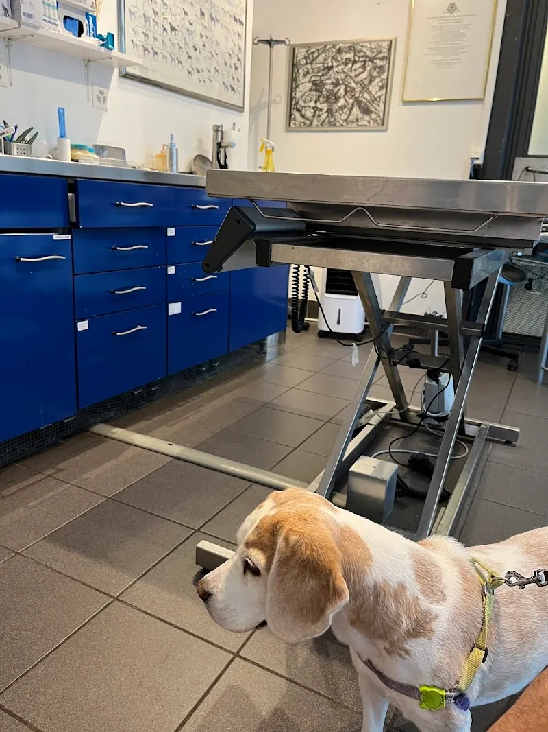 Cabinet Vétérinaire de Frontenex — Tierarzt in Genève, Genf. Bewertung 4.3/5.