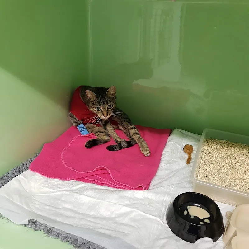 Cabinet Vétérinaire de Villereuse — Tierarzt, Genève, Genf. Foto 2