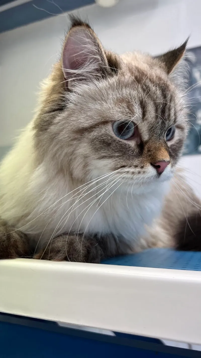 Cabinet Vétérinaire de Villereuse — Tierarzt, Genève, Genf. Foto 3