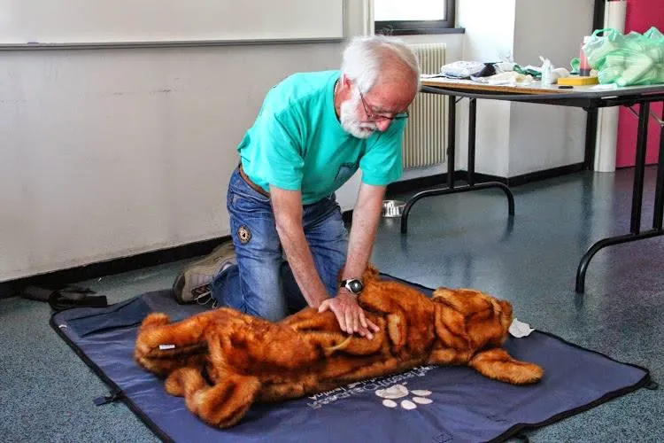 Cabinet Vétérinaire de la Fonderie SA — Tierarzt, Carouge, Genf. Foto 3
