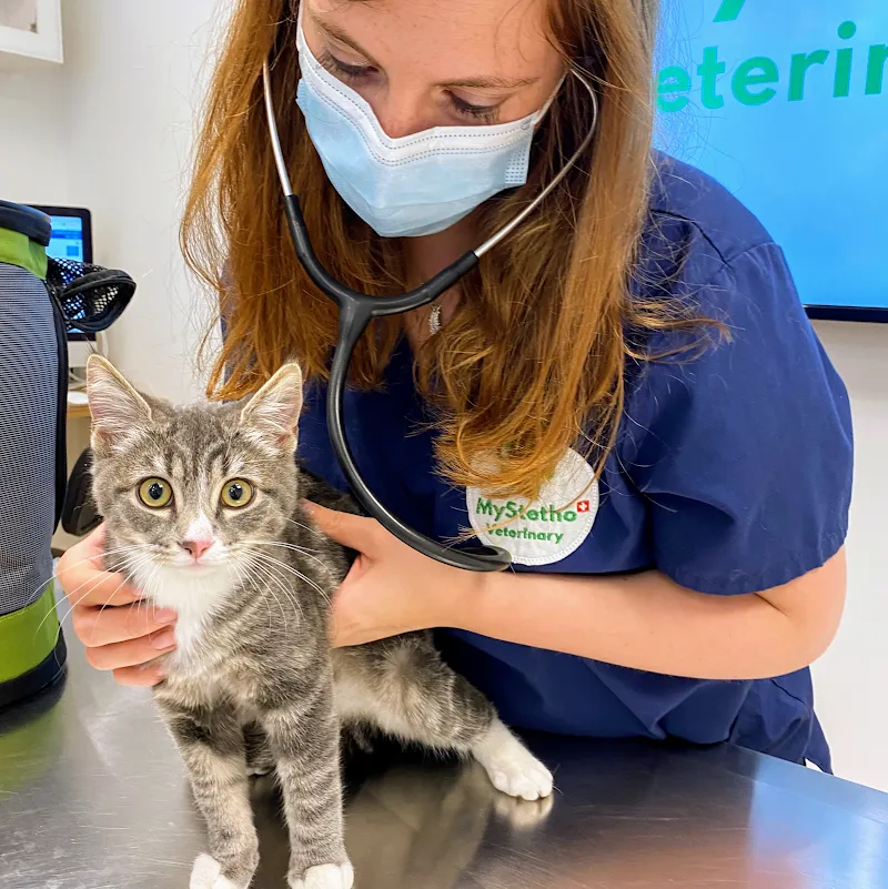 Cabinet vétérinaire MVET.CH Plainpalais — Tierarzt in Genève, Genf. Bewertung 4.5/5.