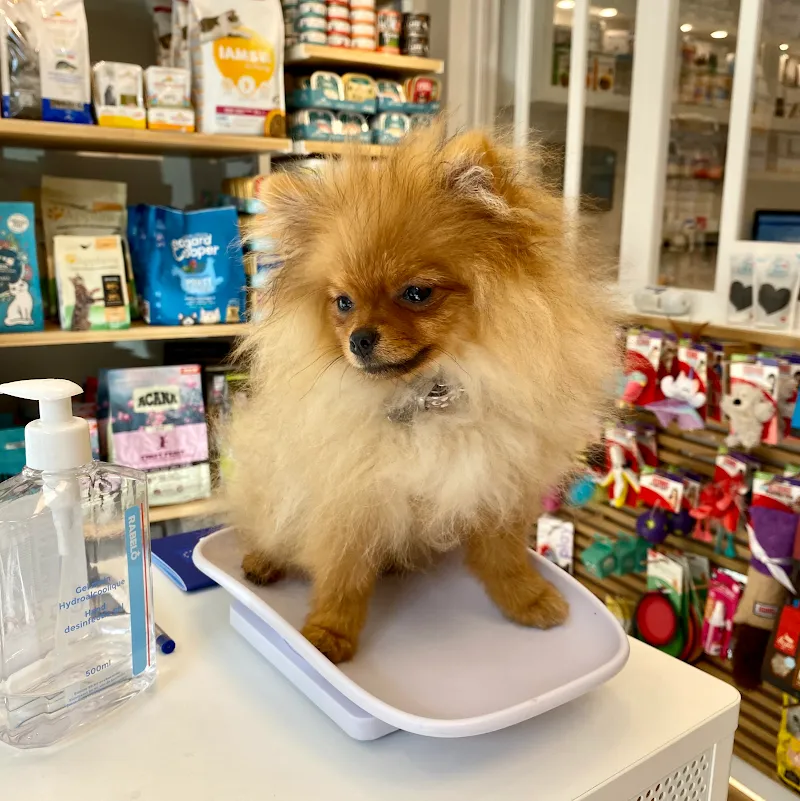 Cabinet vétérinaire MVET.CH Plainpalais — Veterinarian, Genève, Geneva. Foto 3