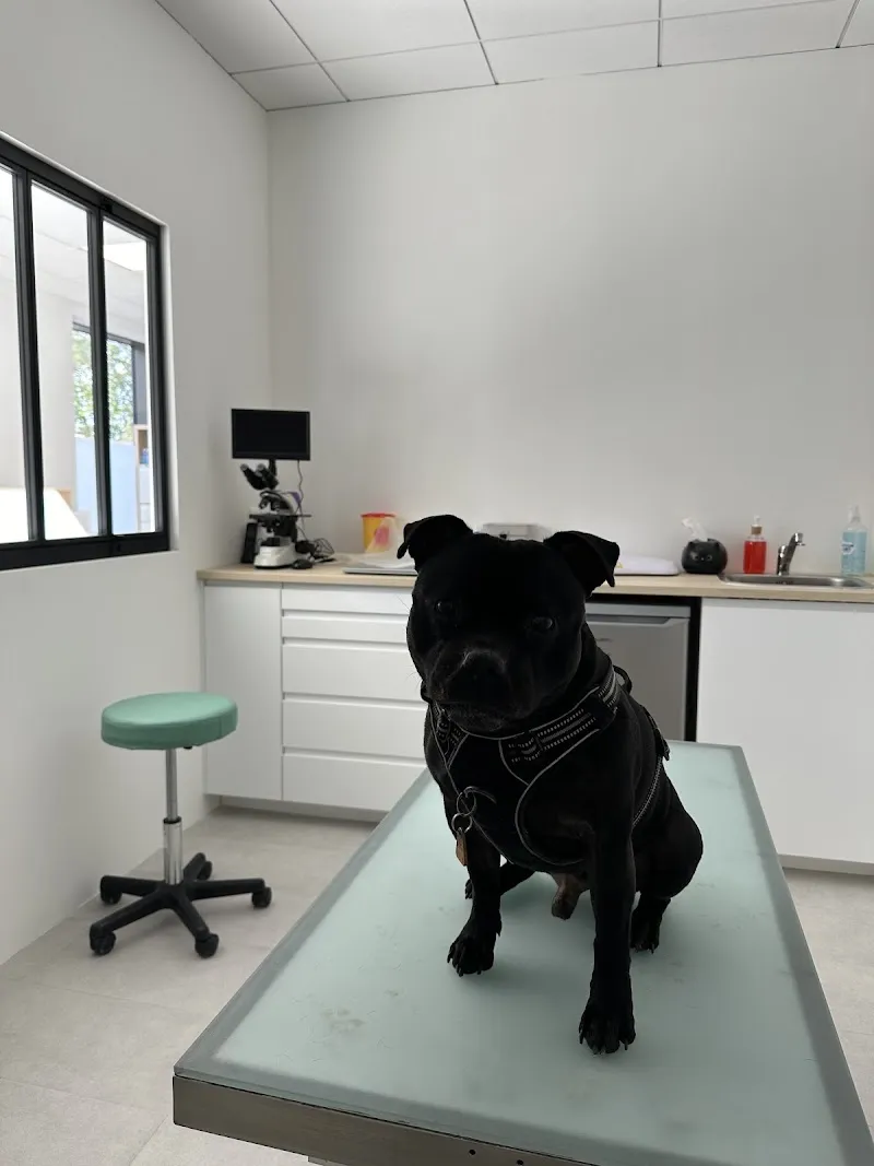 Cabinet vétérinaire de Vernier — Tierarzt in Châtelaine, Genf. Bewertung 4.6/5.