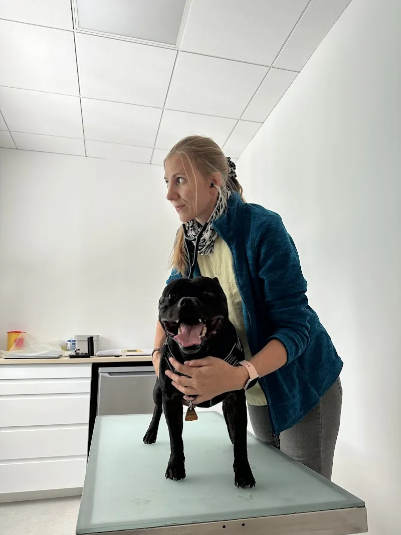 Cabinet vétérinaire de Vernier — Vétérinaire, Châtelaine, Genève. Foto 2