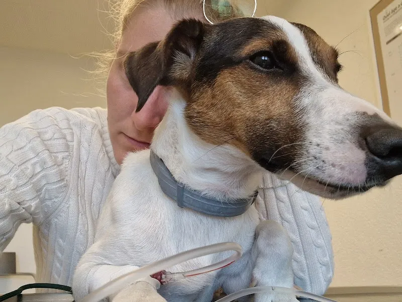 Cabinet vétérinaire des Acacias — Tierarzt, Les Acacias, Genf. Foto 2