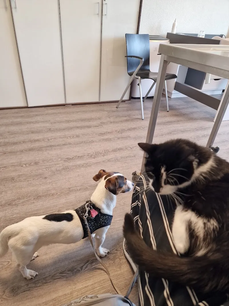 Cabinet vétérinaire des Acacias — Tierarzt, Les Acacias, Genf. Foto 3