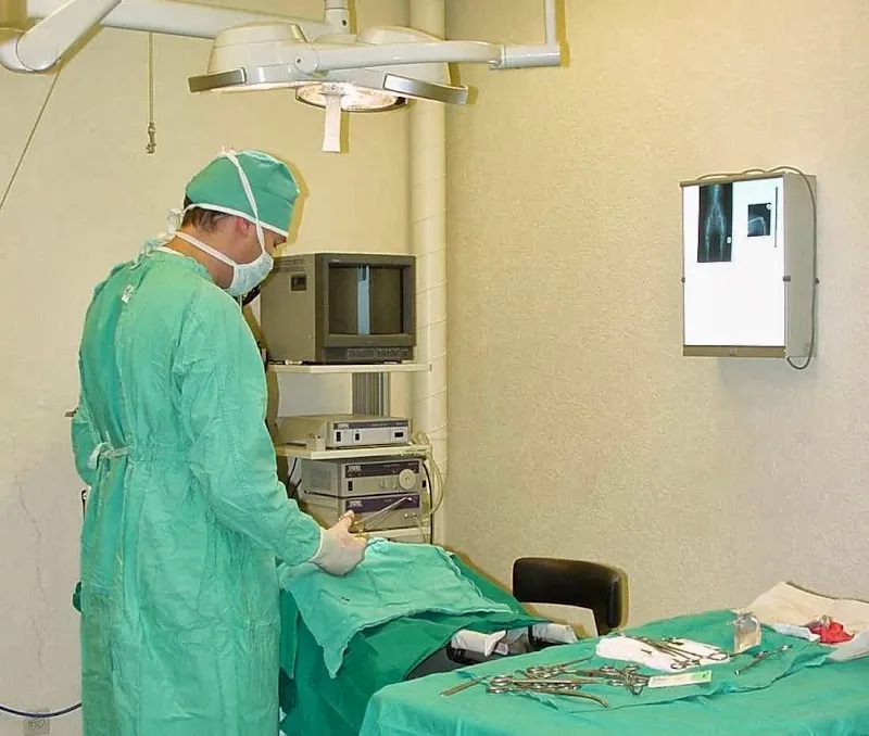 Cabinet vétérinaire des Pontets — Tierarzt, Lancy, Genf. Foto 3