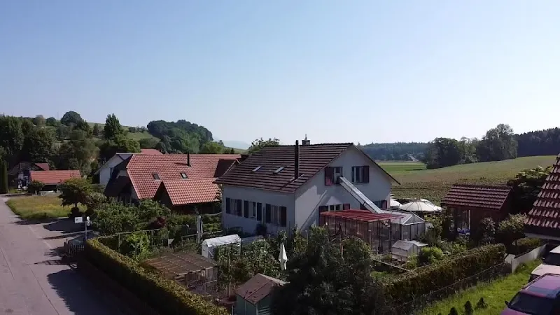 Sandras Katzenpension — Pension pour chats, Küttigkofen, Soleure. Foto 2