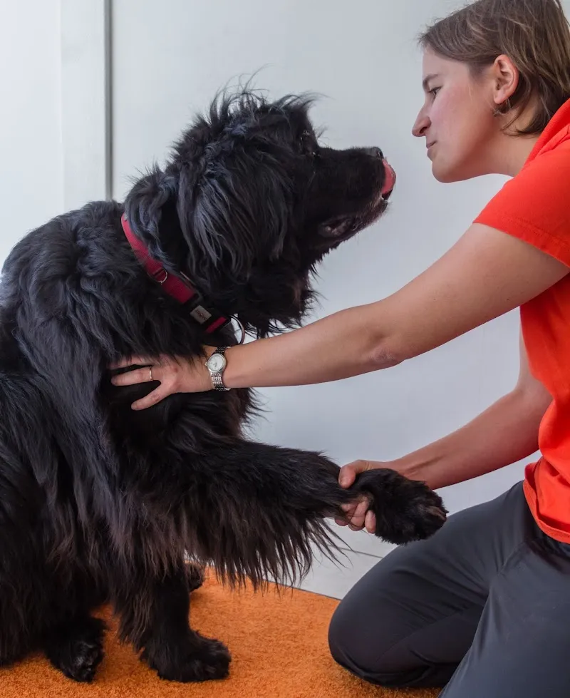 Dr. Auxanne Lepori-Fellay - Vétérinaire ostéopathe — Tierarzt in Plan-les-Ouates, Genf. Bewertung 5.0/5.