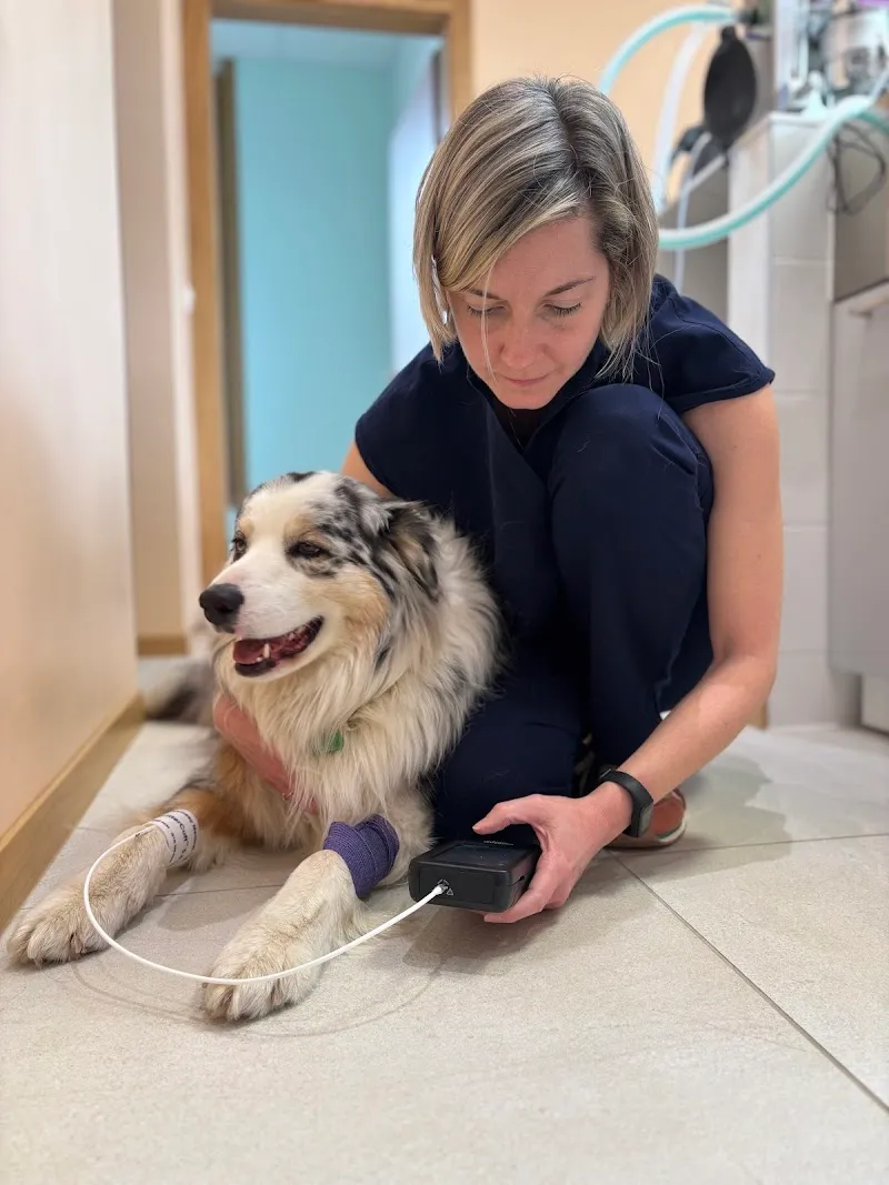 Le Cabinet Vétérinaire de Belle-Terre à Thônex - Genève — Vétérinaire, Thônex, Genève. Foto 2
