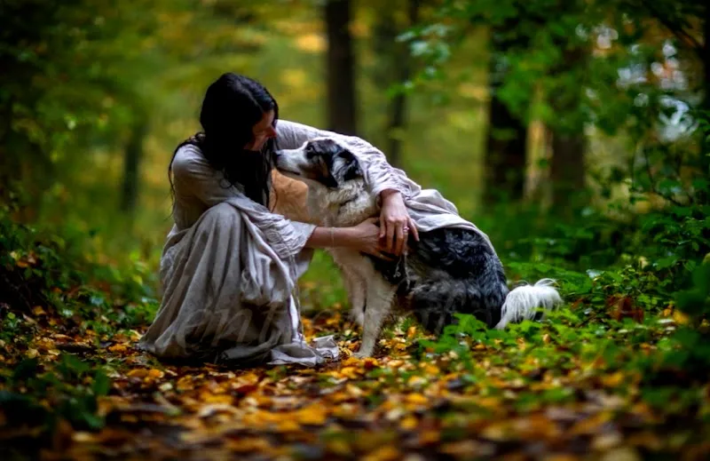 Seelenhüter Tier-Seelen-Paradies / Coaching — Pensione per gatti, Roggliswil, Lucerna. Foto 2
