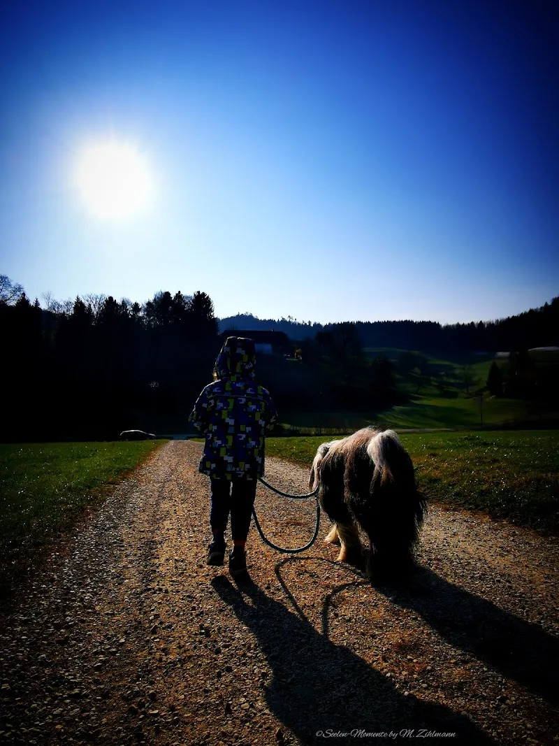 Seelenhüter Tier-Seelen-Paradies / Coaching — Pensione per gatti, Roggliswil, Lucerna. Foto 3