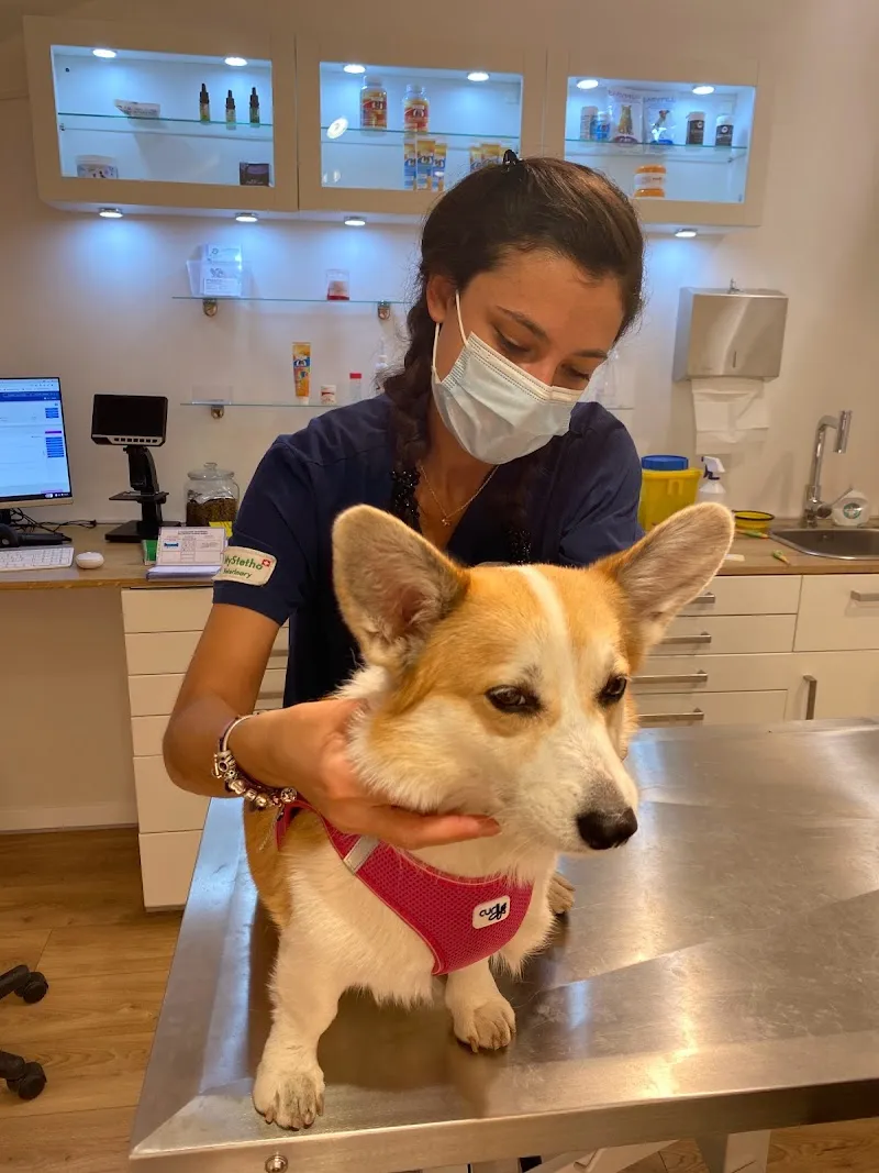 MVET.CH Vétérinaire Pâquis — Tierarzt in Genève, Genf. Bewertung 4.5/5.