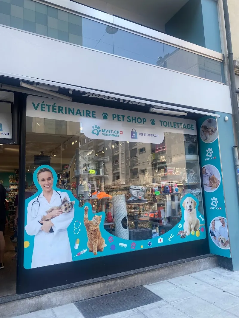 MVET.CH Vétérinaire Pâquis — Tierarzt, Genève, Genf. Foto 3