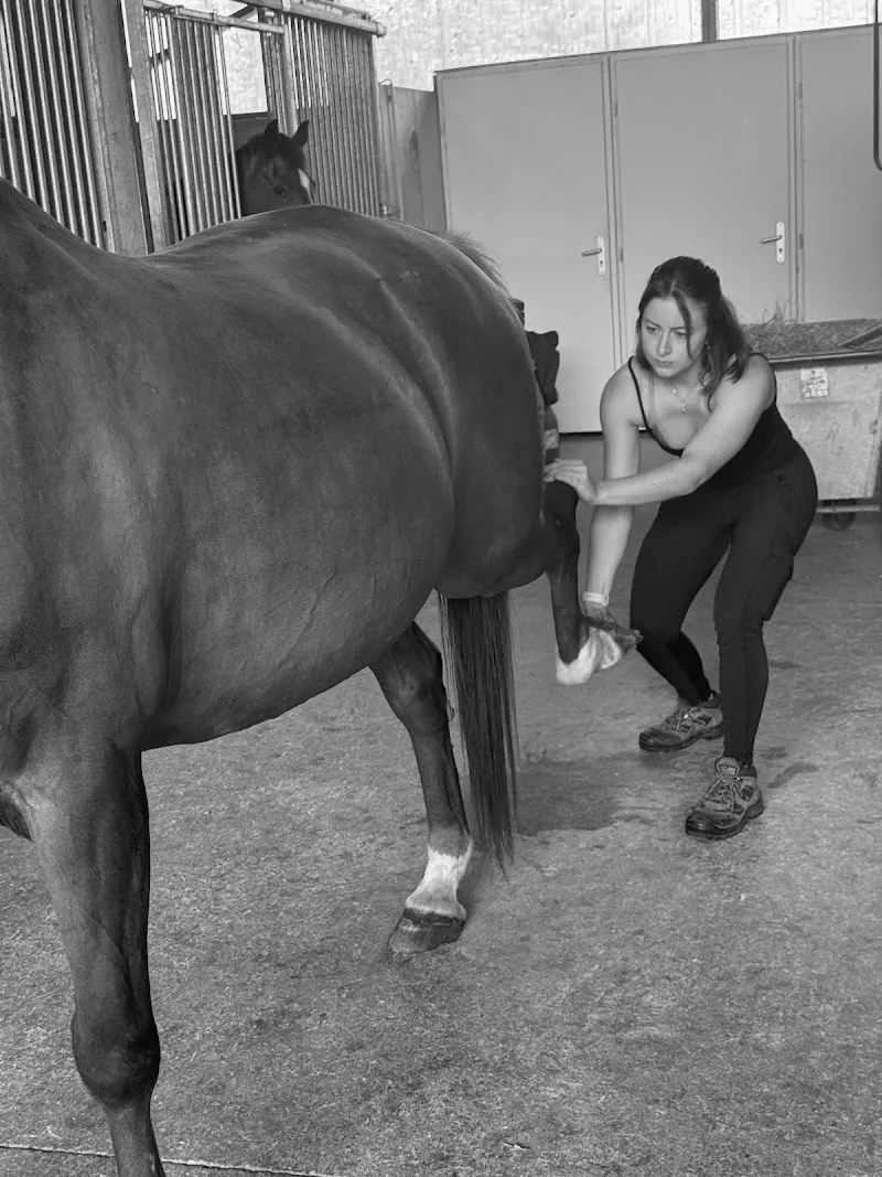 Othilie Gruaz - Ostéopathe animalier Genève — Tierdienste in Thônex, Genf. Bewertung 5.0/5.
