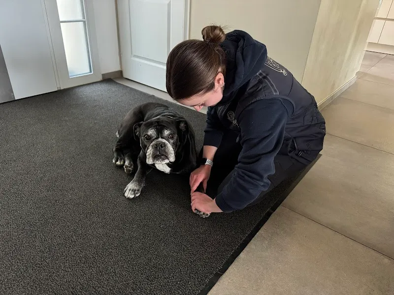 Othilie Gruaz - Ostéopathe animalier Genève — Service animalier, Thônex, Genève. Foto 2