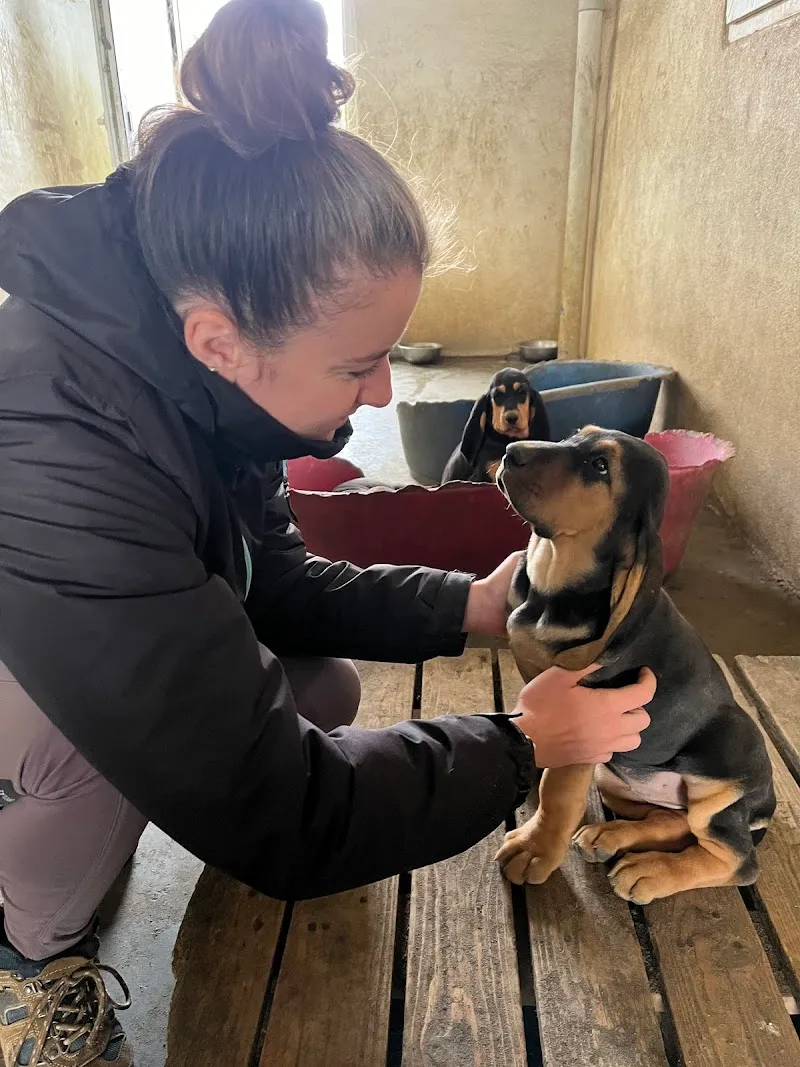 Othilie Gruaz - Ostéopathe animalier Genève — Service animalier, Thônex, Genève. Foto 3